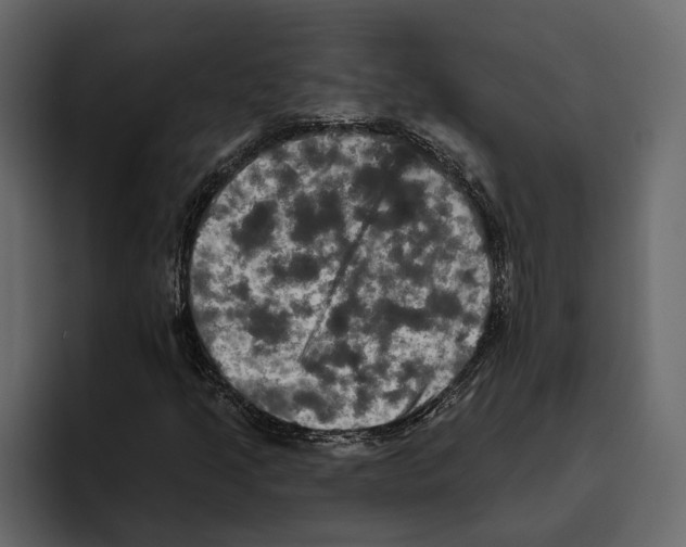 X0000094791205200712141631