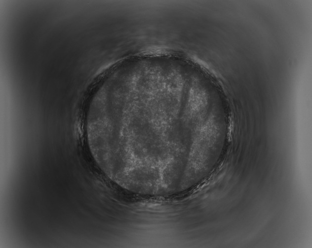 X0000094791206200712141631