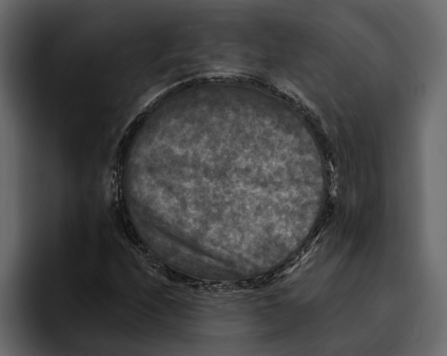 X0000094791208200712141631