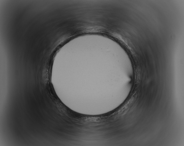 X0000094791211200712141631