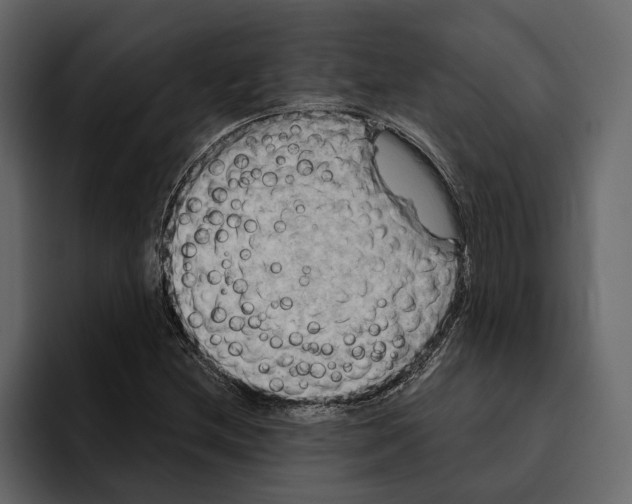 X0000094791212200712141631