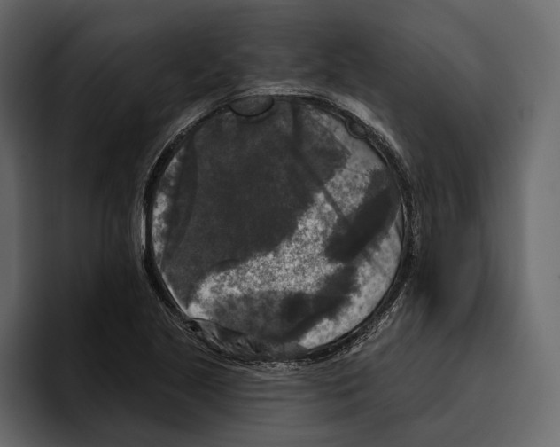 X0000094791221200712141631