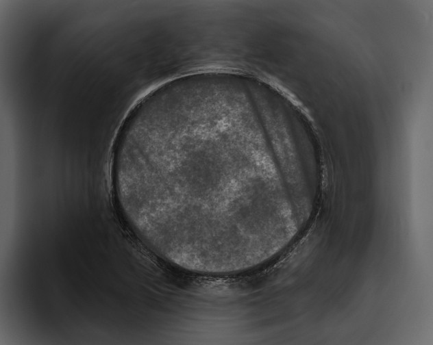 X0000094791222200712141631