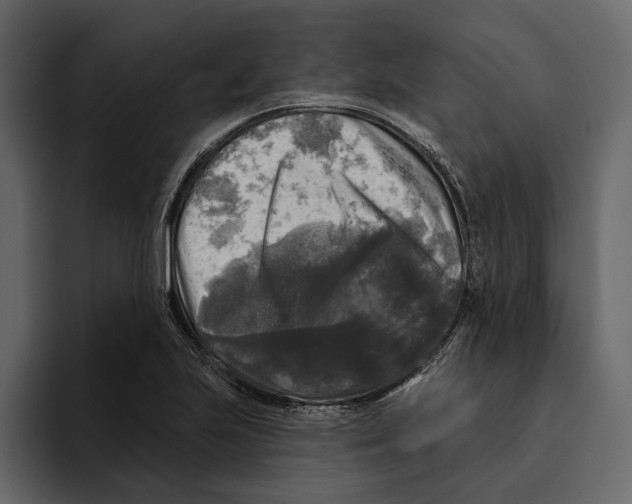 X0000094791223200712141631