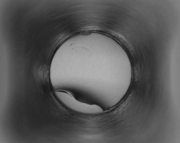 X0000094791225200712141631