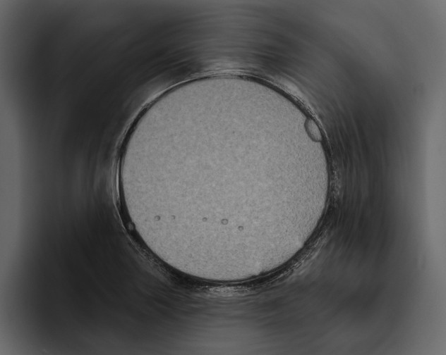 X0000094791227200712141631