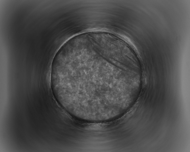 X0000094791228200712141631