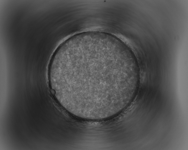 X0000094791230200712141631