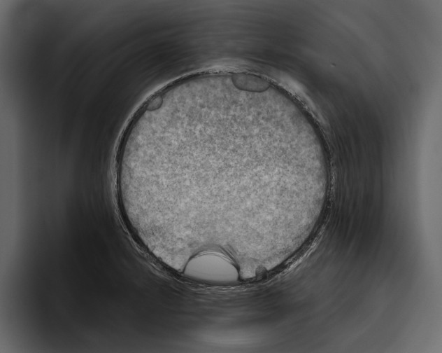 X0000094791232200712141631