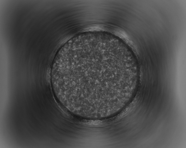 X0000094791233200712141631