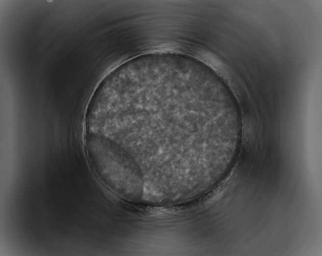 X0000094791234200712141631