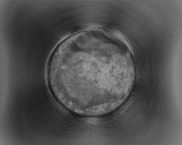 X0000094791235200712141631