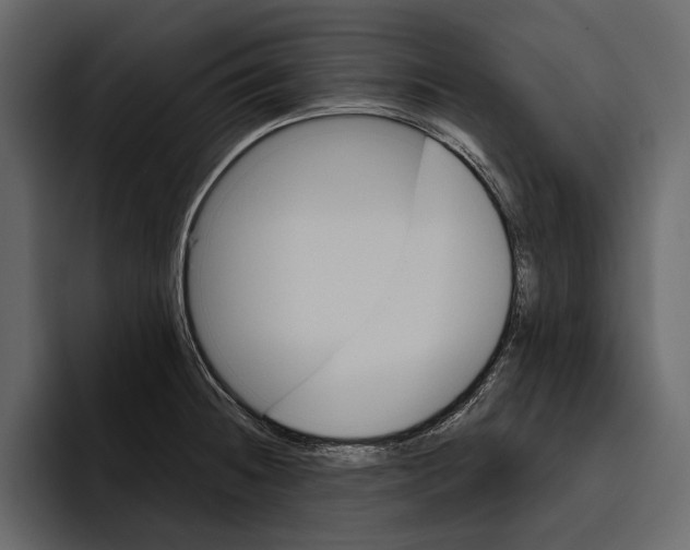 X0000094791236200712141631