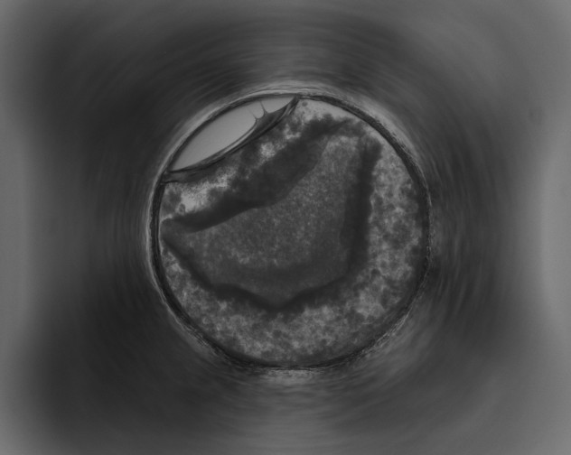 X0000094791237200712141631