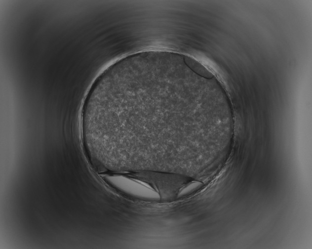 X0000094791238200712141631