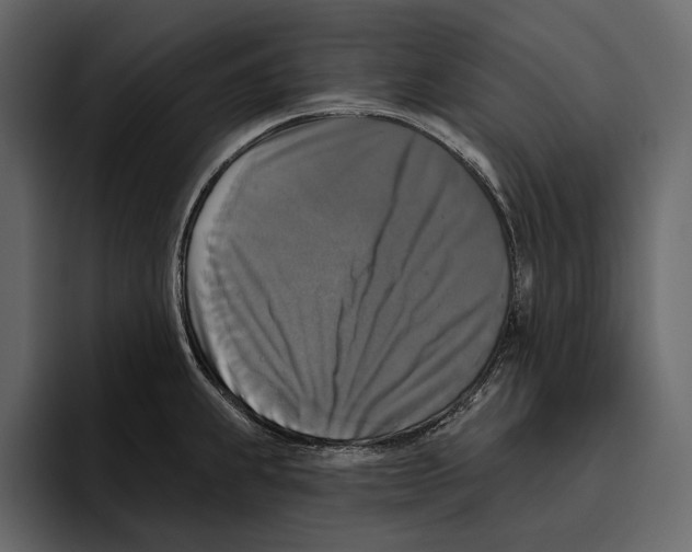 X0000094791239200712141631