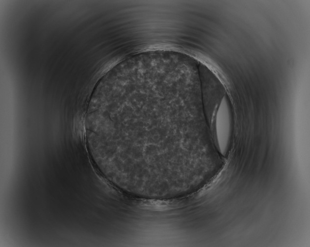 X0000094791241200712141631