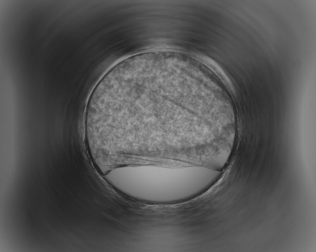 X0000094791244200712141631