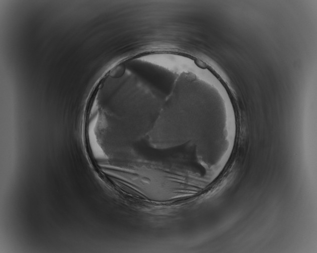 X0000094791245200712141631