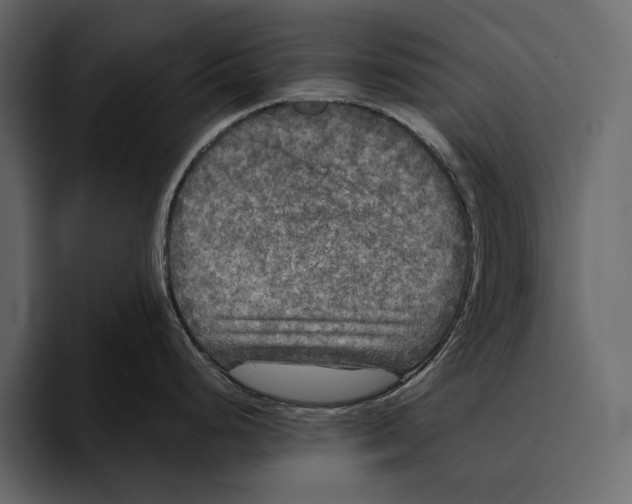 X0000094791248200712141631