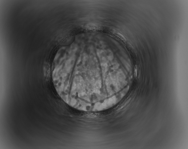 X0000094791251200712141631