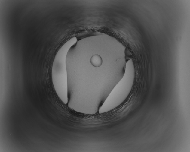 X0000094791252200712141631