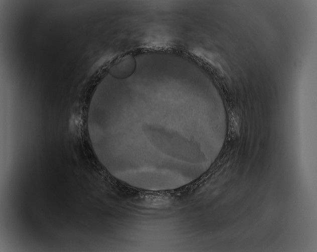 X0000094791254200712141631