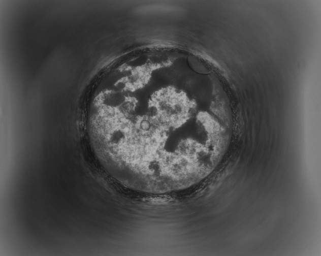 X0000094791255200712141631