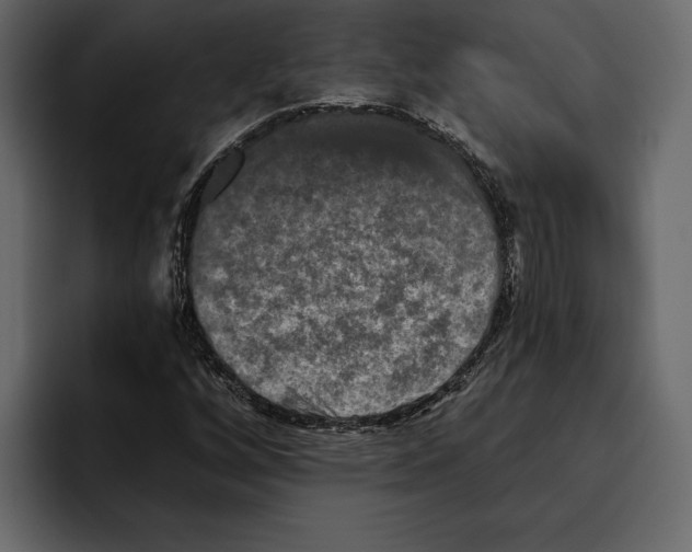 X0000094791256200712141631