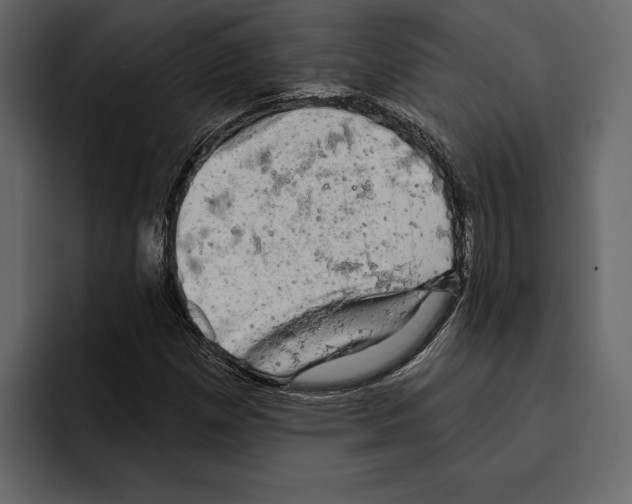 X0000094791257200712141631