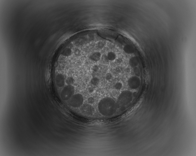 X0000094791259200712141631