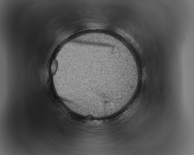 X0000094791261200712141631