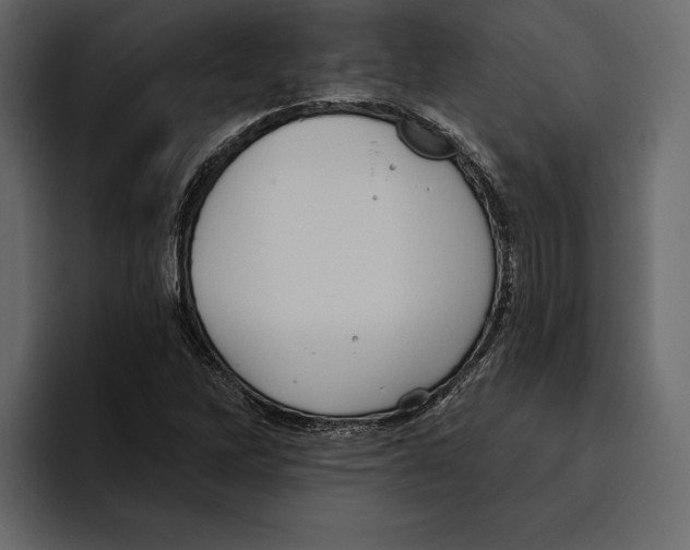 X0000094791262200712141630