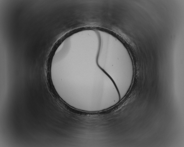 X0000094791264200712141630