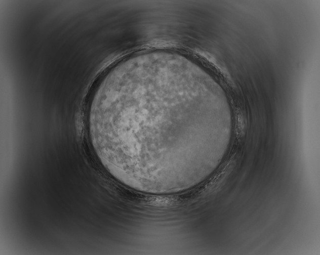 X0000094791266200712141630