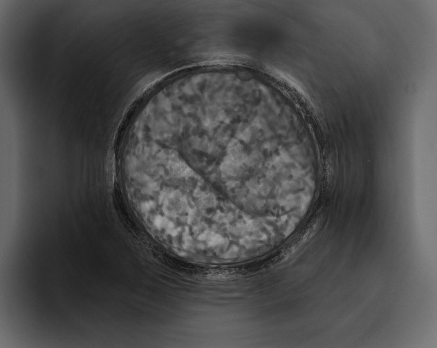 X0000094791267200712141630