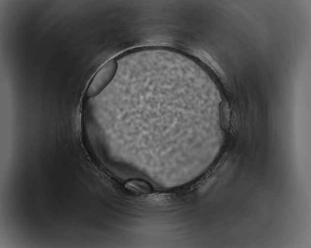 X0000094791268200712141630