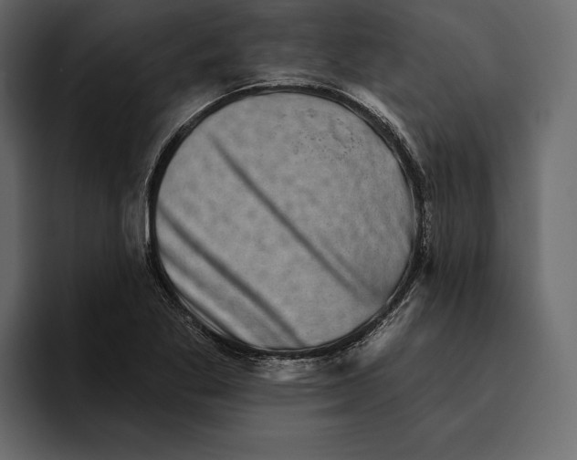 X0000094791269200712141630