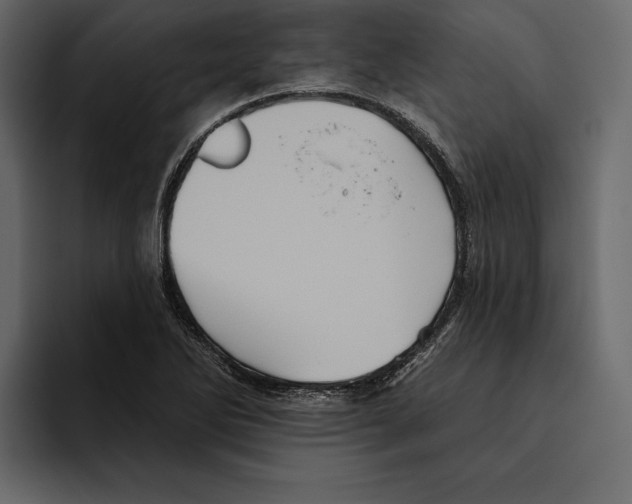 X0000094791270200712141630