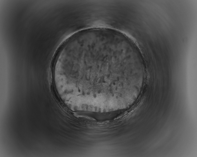 X0000094791271200712141630