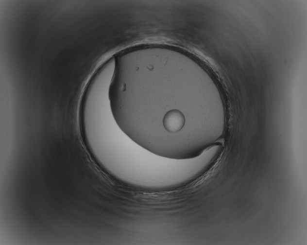 X0000094791272200712141630