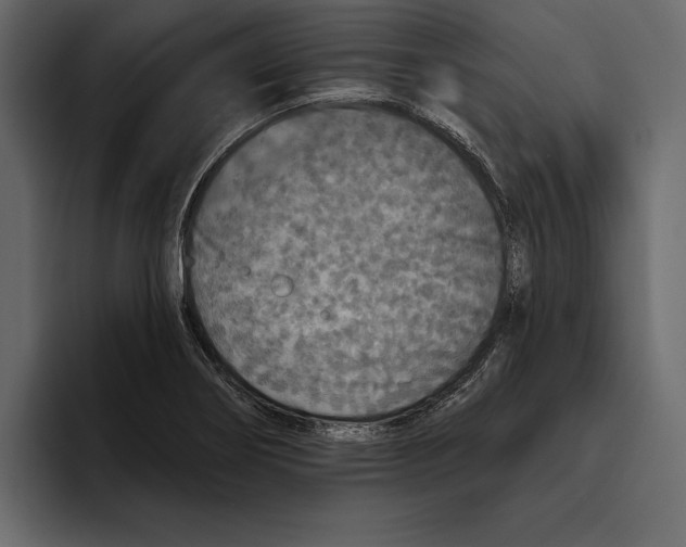 X0000094791274200712141630