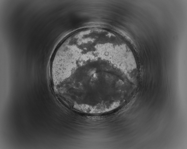 X0000094791275200712141630