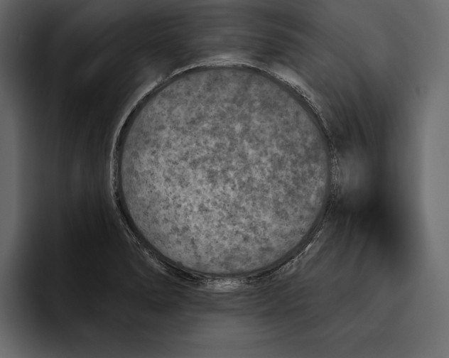 X0000094791278200712141630