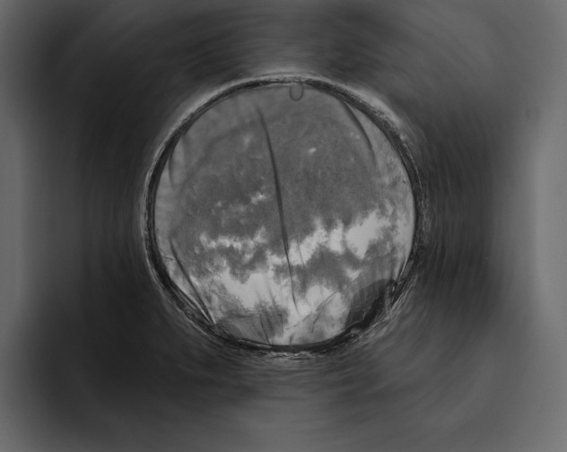 X0000094791279200712141630