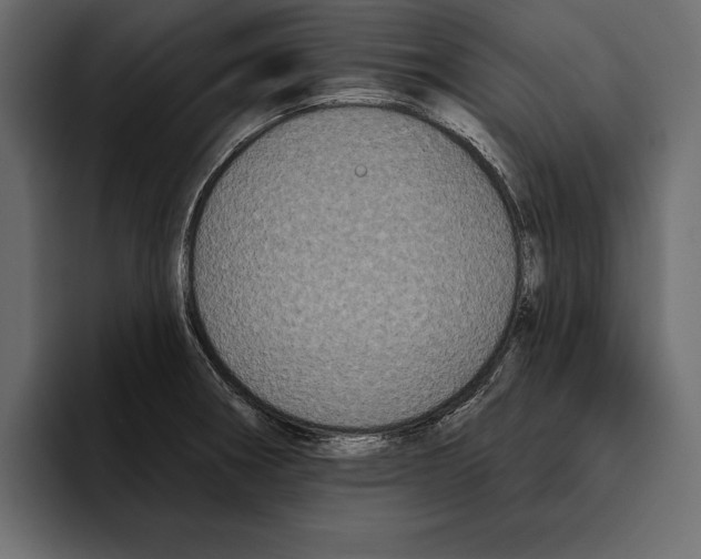 X0000094791282200712141630