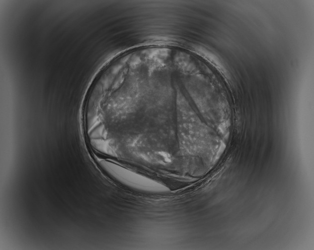 X0000094791283200712141630