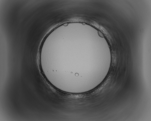 X0000094791286200712141630