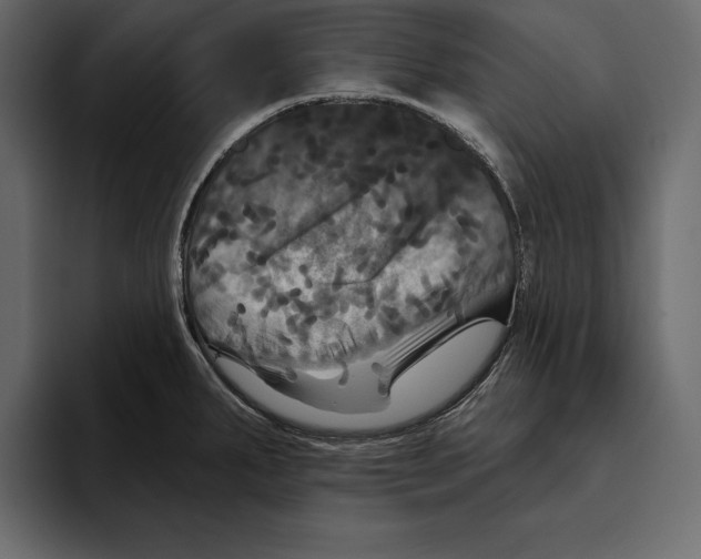 X0000094791287200712141630