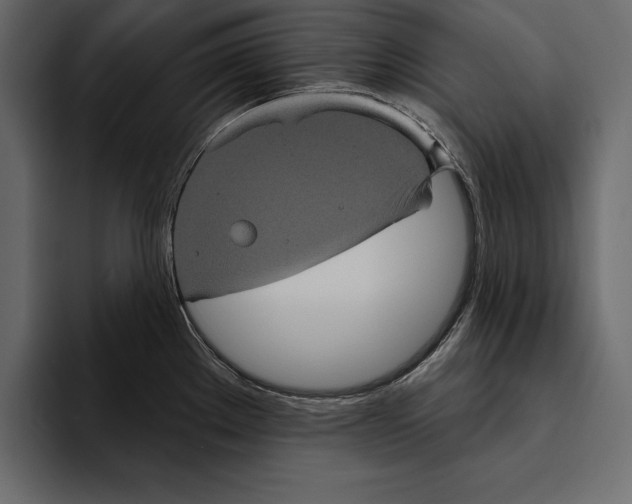 X0000094791289200712141630